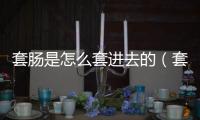 套腸是怎么套進去的（套腸）