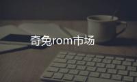 奇兔rom市場