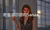 奇普菲爾德和Sanaa進入梅尼爾繪畫學院方案決賽（圖）