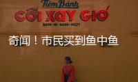 奇聞！市民買到魚中魚 大魚肚子里竟藏4條小魚