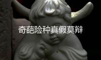 奇葩險種真假莫辯