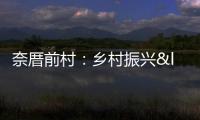 奈厝前村：鄉(xiāng)村振興“三治”融合惠民利村