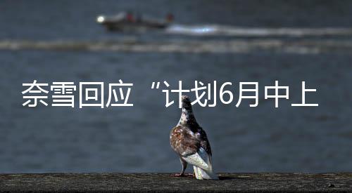 奈雪回應“計劃6月中上旬上市”傳聞：報道不實！