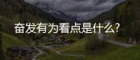 奮發有為看點是什么?