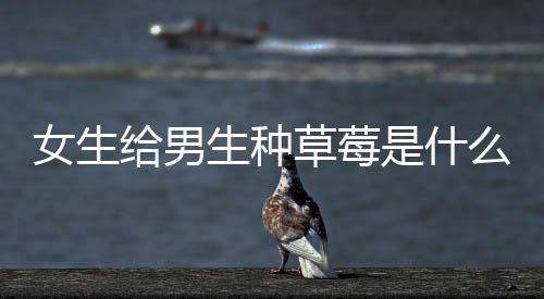 女生給男生種草莓是什么意思啊（種草莓是什么意思啊）
