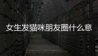 女生發(fā)貓咪朋友圈什么意思(拍貓咪怎么發(fā)朋友圈)