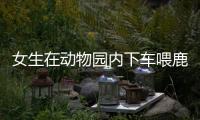 女生在動物園內下車喂鹿被踢 園區做出回應網友表示支持