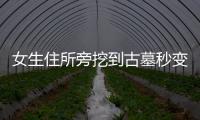 女生住所旁挖到古墓秒變墓景房，考古全過程清晰可見