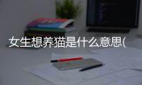 女生想養貓是什么意思(女生做夢夢到養貓是什么意思)