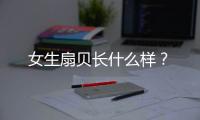 女生扇貝長什么樣？