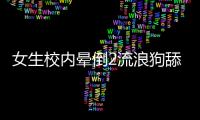 女生校內暈倒2流浪狗舔鼻喚醒 網友：每天給帶兩個腸吧