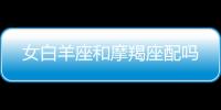 女白羊座和摩羯座配嗎
