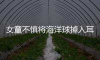 女童不慎將海洋球掉入耳內  蘭大二院妙手醫生成功施救