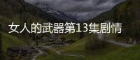 女人的武器第13集劇情詳細介紹(韓雪版)
