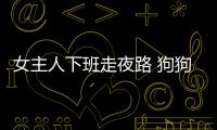 女主人下班走夜路 狗狗每天準時給主人送手電
