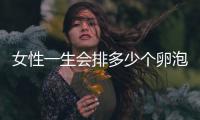 女性一生會排多少個卵泡？