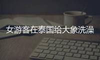 女游客在泰國給大象洗澡被刺死