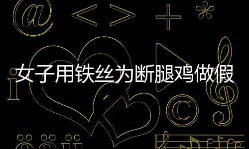 女子用鐵絲為斷腿雞做假肢 真的太有愛心了！！