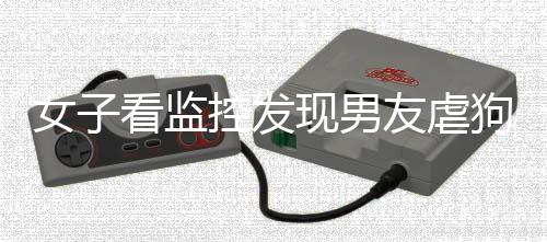 女子看監控發現男友虐狗果斷分手，出門不到10分鐘愛犬被連踹數腳