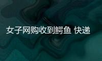 女子網購收到鱷魚 快遞被掉包或偷竊怎么維權？