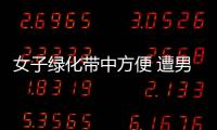 女子綠化帶中方便 遭男子猥褻搶劫