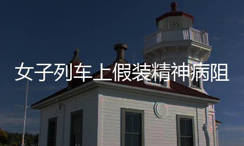 女子列車上假裝精神病阻止孩子吵鬧 網友：用魔法打敗魔法