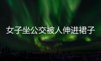 女子坐公交被人伸進裙子 司機挺身而出制服猥褻男