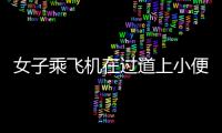 女子乘飛機在過道上小便 驚呆空姐