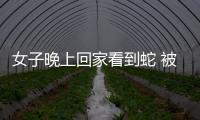 女子晚上回家看到蛇 被嚇得魂飛魄散
