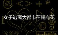 女子逃離大都市在鶴崗花1.5萬元買房定居 1000元就請(qǐng)到了保姆