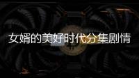 女婿的美好時(shí)代分集劇情介紹