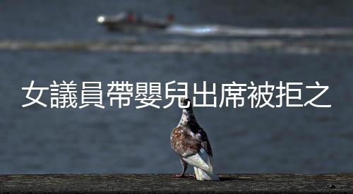 女議員帶嬰兒出席被拒之門外，這要從瑞士把議員當成「兼職」的傳統說起