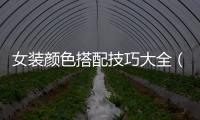 女裝顏色搭配技巧大全（女裝顏色搭配技巧口訣）