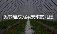奚夢瑤成為梁安琪的兒媳以后 依然熱衷于通過娛樂圈掙錢