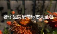 奢侈品牌皮帶標志大全奢侈品牌