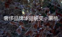 奢侈品牌華麗蛻變：黑桃A香檳大事記