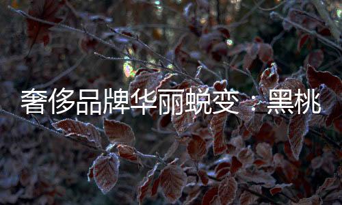 奢侈品牌華麗蛻變：黑桃A香檳大事記