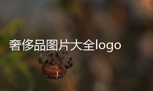 奢侈品圖片大全logo(奢侈品圖片及名稱)