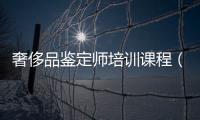 奢侈品鑒定師培訓課程（奢侈品鑒定師培訓課程有哪些）
