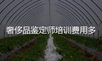 奢侈品鑒定師培訓(xùn)費(fèi)用多少（奢侈品鑒定師培訓(xùn)費(fèi)用多少錢一個月）