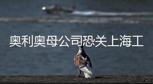 奧利奧母公司恐關(guān)上海工廠 幾乎處停工狀態(tài)