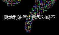 奧地利油氣：俄歐對峙不影響“南溪”管道建設