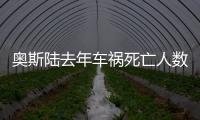 奧斯陸去年車禍死亡人數：1個