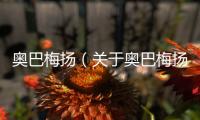 奧巴梅揚（關于奧巴梅揚的基本情況說明介紹）