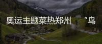 奧運主題菜熱鄭州　“鳥巢”“水立方”擺上餐桌
