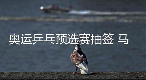 奧運乒乓預選賽抽簽 馬龍郭躍直接晉級第二階段