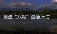奧迪“八哥”登場 尺寸比Q7小 對標寶馬X6