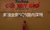 奧迪全新SQ5國內(nèi)諜照曝光 將進(jìn)口至國內(nèi)