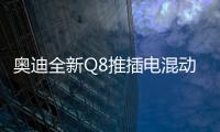 奧迪全新Q8推插電混動版 明年正式上市