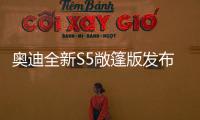 奧迪全新S5敞篷版發(fā)布 陽光下的西裝暴徒